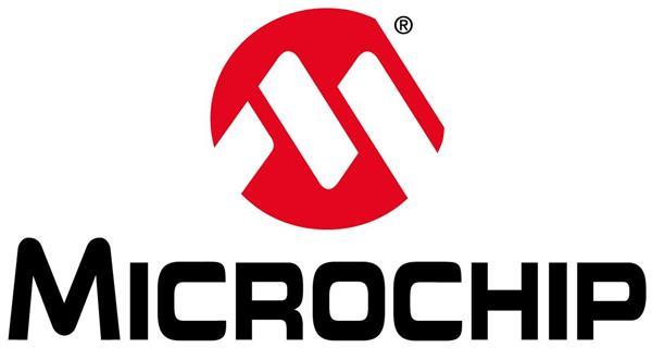 Steve Sanghi to Continue as Microchip CEO and President on a Permanent Basis