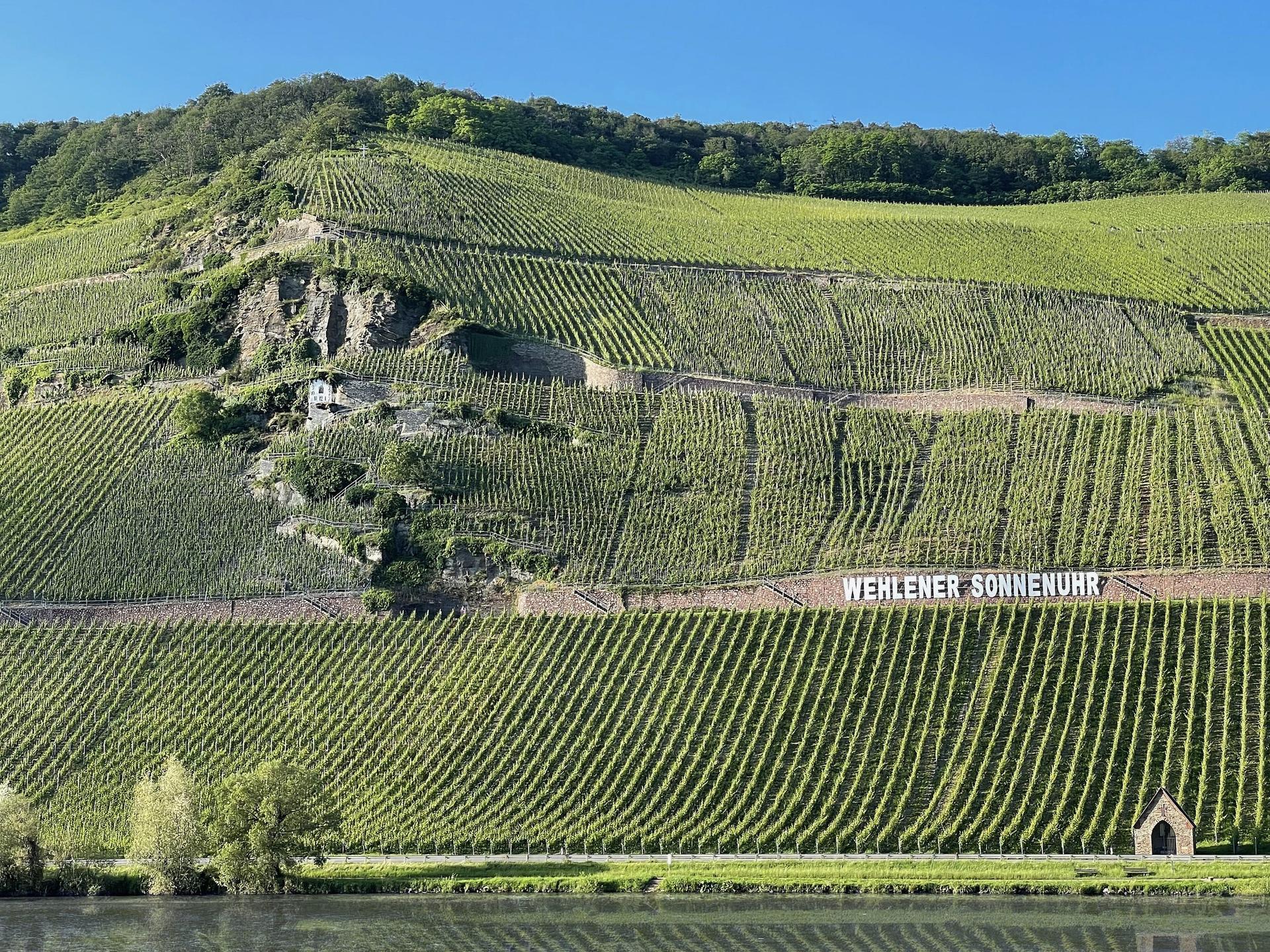 Germany's Wehlener Sonnenuhr Recognized as One of the 10 Greatest Vineyards in the World