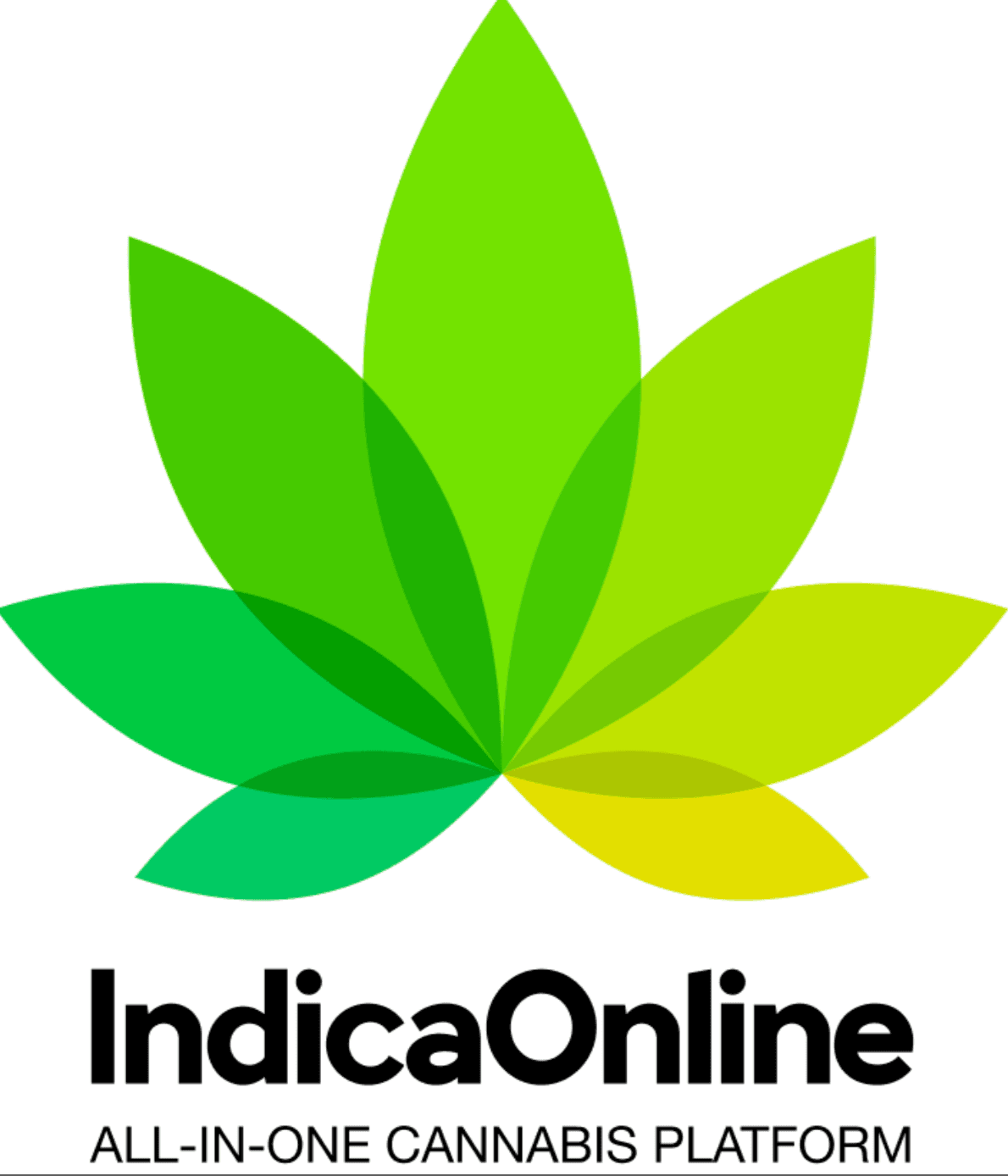 IndicaOnline Revolutionizes Cannabis Delivery with Smarter Software